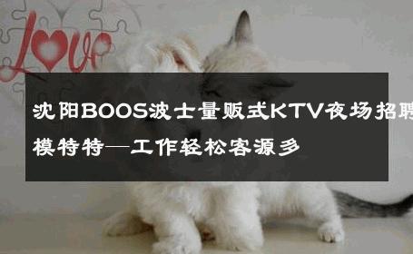 沈阳BOOS波士量贩式KTV夜场招聘模特特—工作轻松客源多