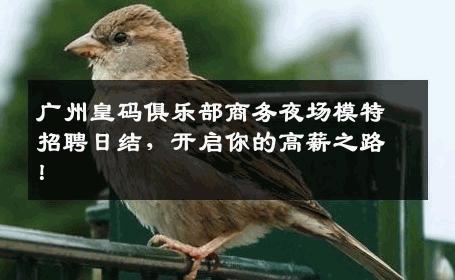 广州皇码俱乐部商务夜场模特招聘日结，开启你的高薪之路！
