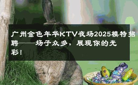 广州金色年华KTV夜场2025模特招聘——场子众多，展现你的光彩！