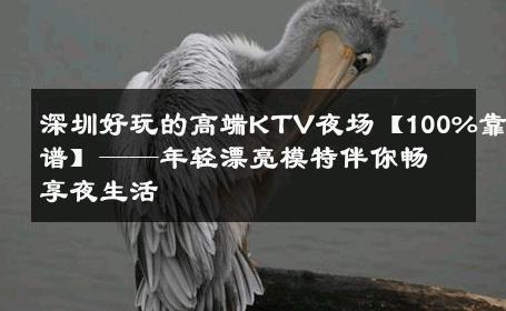 深圳好玩的高端KTV夜场【100%靠谱】——年轻漂亮模特伴你畅享夜生活