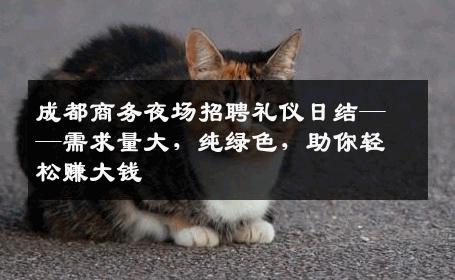 成都商务夜场招聘礼仪日结——需求量大，纯绿色，助你轻松赚大钱