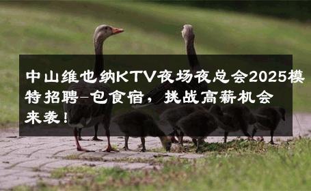 中山维也纳KTV夜场夜总会2025模特招聘-包食宿，挑战高薪机会来袭！