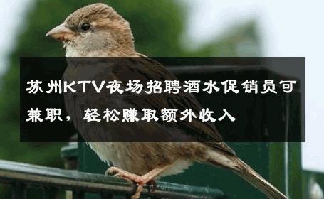 苏州KTV夜场招聘酒水促销员可兼职，轻松赚取额外收入
