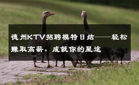 德州KTV招聘模特日结——轻松赚取高薪，成就你的星途