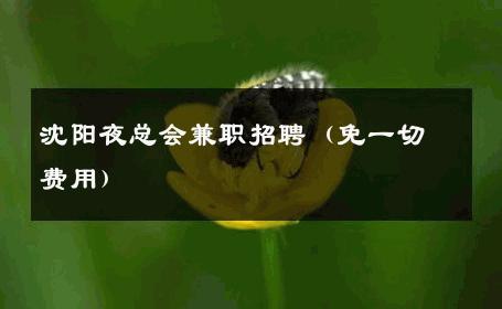 沈阳夜总会兼职招聘（免一切费用）