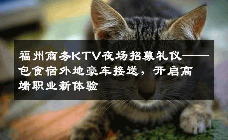 福州商务KTV夜场招募礼仪——包食宿外地豪车接送，开启高端职业新体验