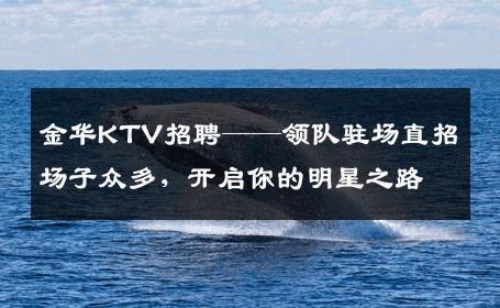 金华KTV招聘——领队驻场直招场子众多，开启你的明星之路