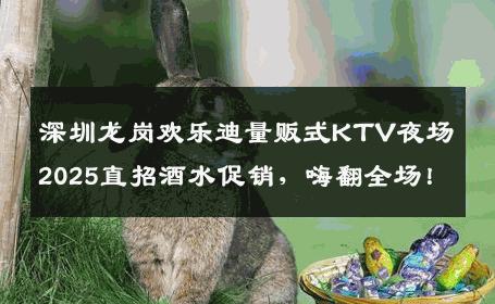 深圳龙岗欢乐迪量贩式KTV夜场2025直招酒水促销，嗨翻全场！