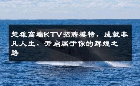 楚雄高端KTV招聘模特，成就非凡人生，开启属于你的辉煌之路