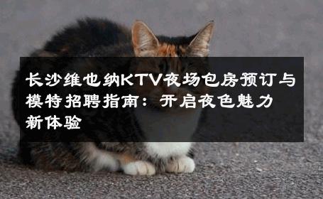 长沙维也纳KTV夜场包房预订与模特招聘指南：开启夜色魅力新体验