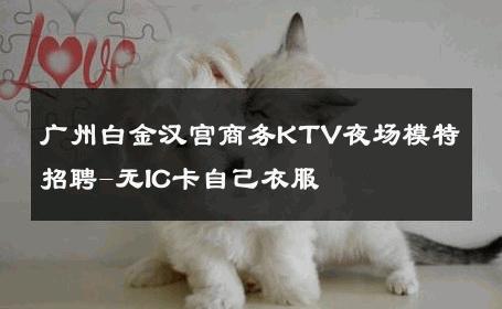 广州白金汉宫商务KTV夜场模特招聘-无IC卡自己衣服