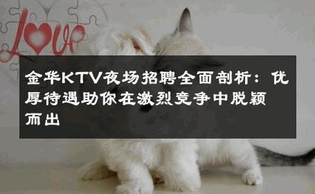 金华KTV夜场招聘全面剖析：优厚待遇助你在激烈竞争中脱颖而出