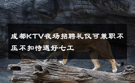 成都KTV夜场招聘礼仪可兼职不压不扣待遇好七工