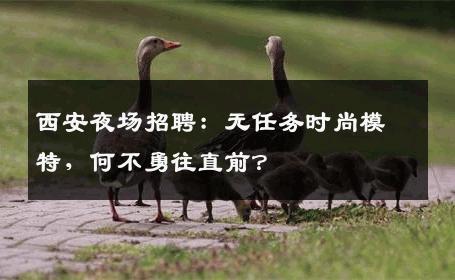 西安夜场招聘：无任务时尚模特，何不勇往直前？