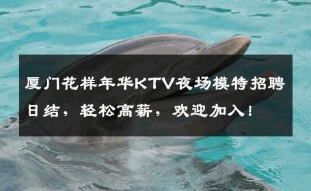 厦门花样年华KTV夜场模特招聘日结，轻松高薪，欢迎加入！