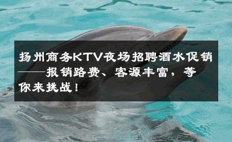 扬州商务KTV夜场招聘酒水促销——报销路费、客源丰富，等你来挑战！