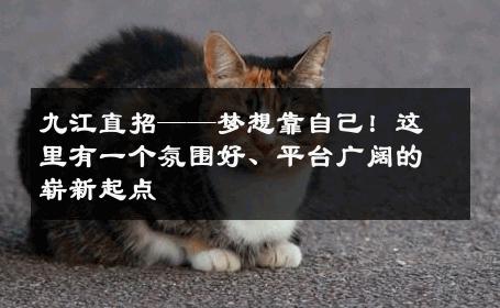 九江直招——梦想靠自己！这里有一个氛围好、平台广阔的崭新起点