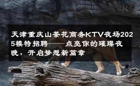 天津重庆山茶花商务KTV夜场2025模特招聘——点亮你的璀璨夜晚，开启梦想新篇章