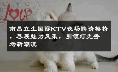 南昌立生国际KTV夜场聘请模特，尽展魅力风采，引领灯光秀场新潮流
