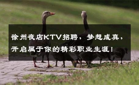 徐州夜店KTV招聘，梦想成真，开启属于你的精彩职业生涯！