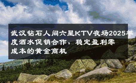 武汉钻石人间六星KTV夜场2025年度酒水促销合作，稳定盈利零成本的黄金商机
