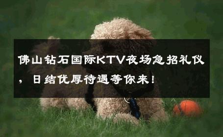 佛山钻石国际KTV夜场急招礼仪，日结优厚待遇等你来！
