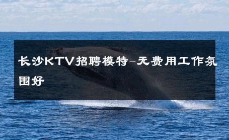 长沙KTV招聘模特-无费用工作氛围好