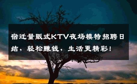 宿迁量贩式KTV夜场模特招聘日结，轻松赚钱，生活更精彩！