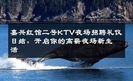嘉兴红馆二号KTV夜场招聘礼仪日结，开启你的高薪夜场新生活