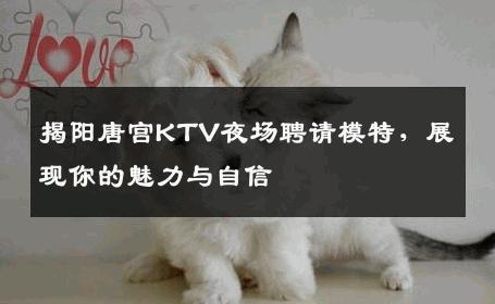 揭阳唐宫KTV夜场聘请模特，展现你的魅力与自信