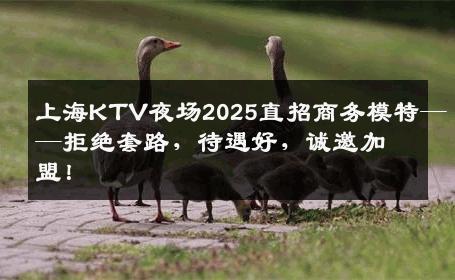 上海KTV夜场2025直招商务模特——拒绝套路，待遇好，诚邀加盟！
