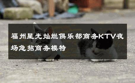 福州星光灿烂俱乐部商务KTV夜场急招商务模特