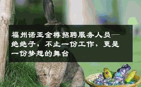 福州诺亚金樽招聘服务人员—绝绝子，不止一份工作，更是一份梦想的舞台