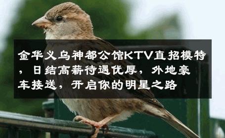 金华义乌神都公馆KTV直招模特，日结高薪待遇优厚，外地豪车接送，开启你的明星之路