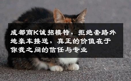 成都商K诚招模特，拒绝套路外地豪车接送，真正的价值在于你我之间的信任与专业