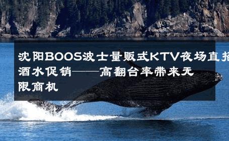沈阳BOOS波士量贩式KTV夜场直招酒水促销——高翻台率带来无限商机