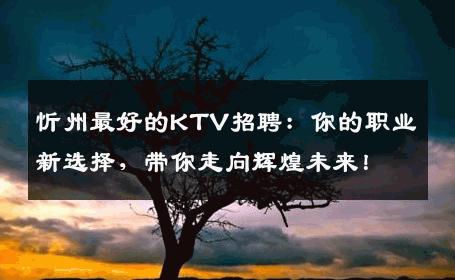 忻州最好的KTV招聘：你的职业新选择，带你走向辉煌未来！