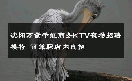 沈阳万紫千红商务KTV夜场招聘模特-可兼职店内直招