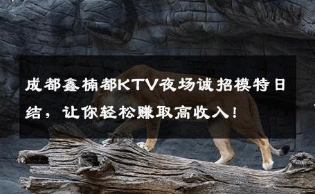 成都鑫楠都KTV夜场诚招模特日结，让你轻松赚取高收入！