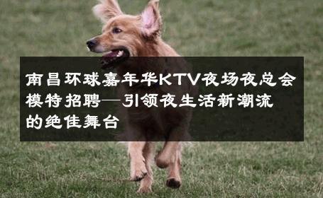 南昌环球嘉年华KTV夜场夜总会模特招聘—引领夜生活新潮流的绝佳舞台