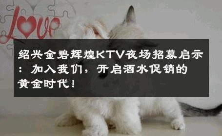 绍兴金碧辉煌KTV夜场招募启示：加入我们，开启酒水促销的黄金时代！