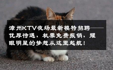漳州KTV夜场最新模特招聘——优厚待遇，机票免费报销，耀眼明星的梦想从这里起航！