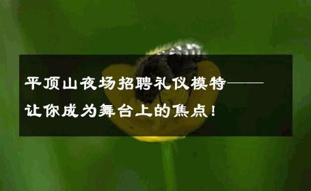 平顶山夜场招聘礼仪模特——让你成为舞台上的焦点！