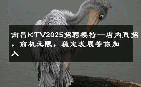 南昌KTV2025招聘模特—店内直招，商机无限，稳定发展等你加入