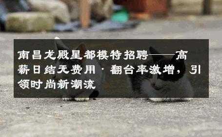 南昌龙殿星都模特招聘——高薪日结无费用·翻台率激增，引领时尚新潮流