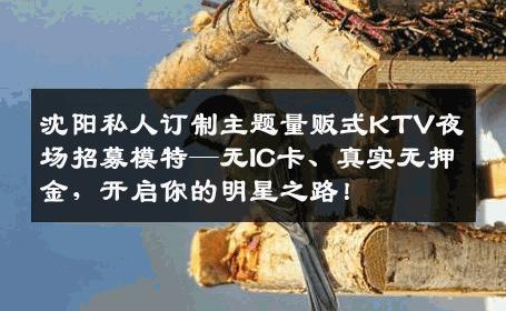 沈阳私人订制主题量贩式KTV夜场招募模特—无IC卡、真实无押金，开启你的明星之路！