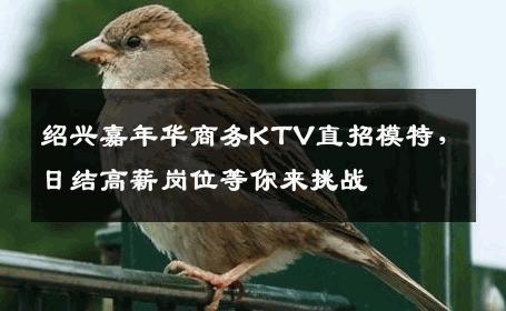 绍兴嘉年华商务KTV直招模特，日结高薪岗位等你来挑战