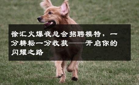 徐汇火爆夜总会招聘模特，一分耕耘一分收获——开启你的闪耀之路