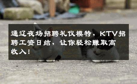 通辽夜场招聘礼仪模特，KTV招聘工资日结，让你轻松赚取高收入！