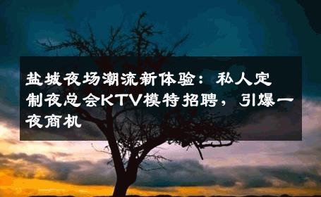 盐城夜场潮流新体验：私人定制夜总会KTV模特招聘，引爆一夜商机